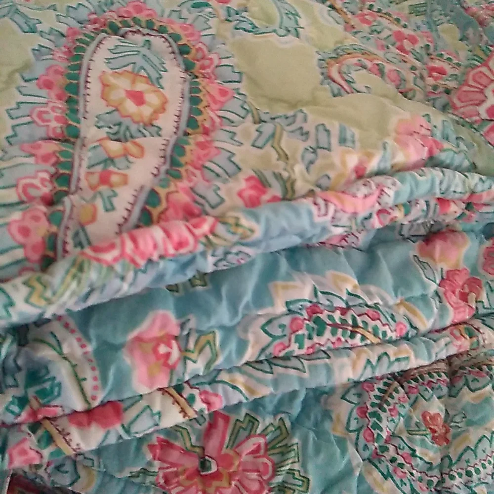 Pottery Barn Quilted Shams